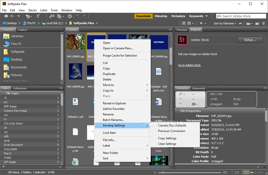 Adobe Bridge CC 2020 10.0.3 download
